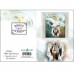 MAGNE-CARD GREETING CARD White Eagle Dreams